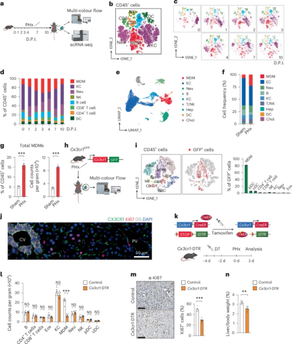 Waggoner Lab tweet media