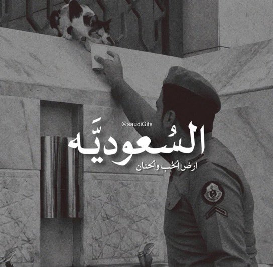 SAUDI POPULAR tweet media