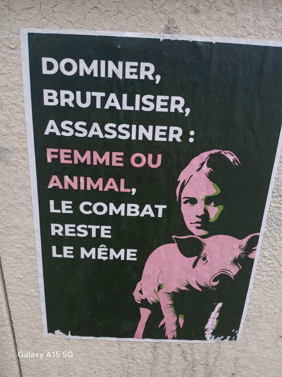 compagnon.yanis.tignard tweet media