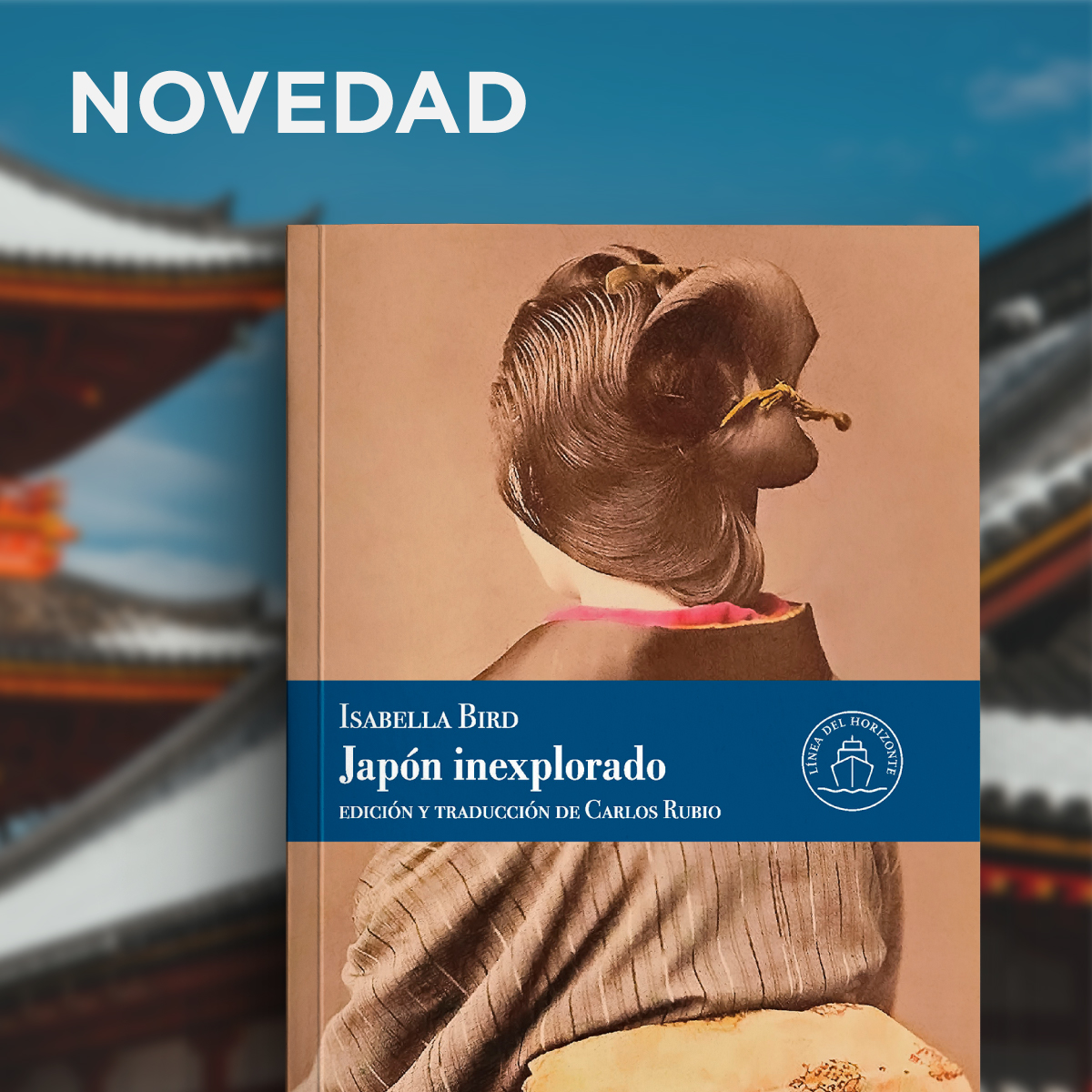 LaLíneaDelHorizonte tweet media