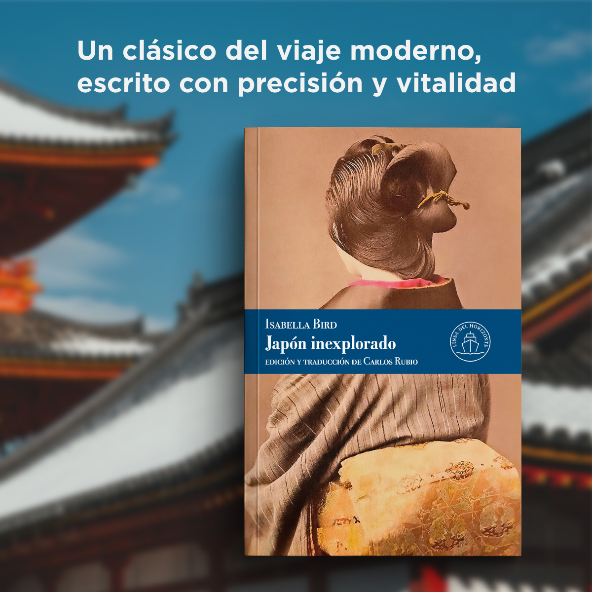 LaLíneaDelHorizonte tweet media