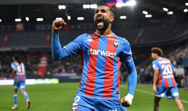 MalherbeMédia tweet media