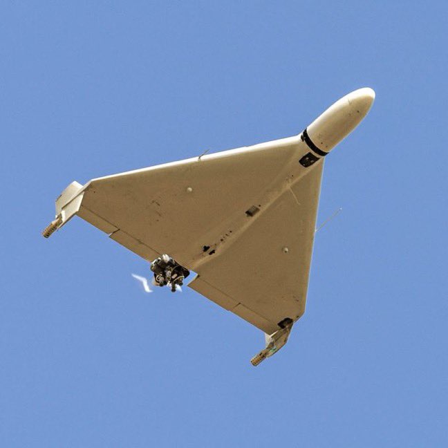 Crypto Rover tweet media