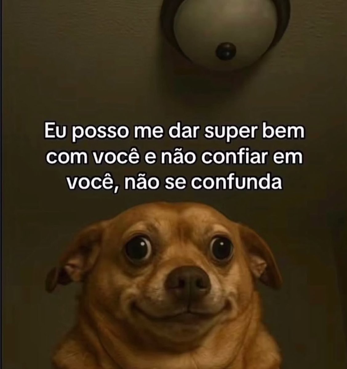 Pagina lixo tweet media