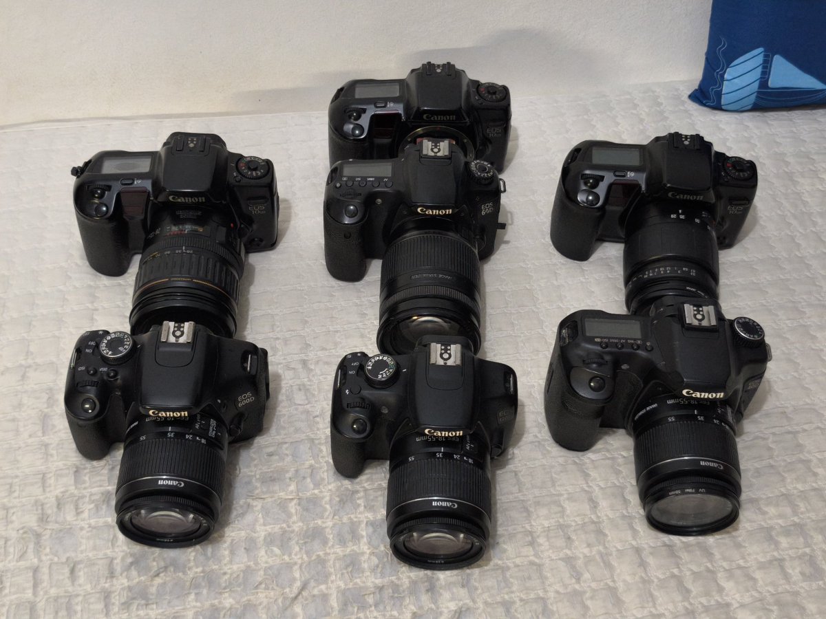 Stal Wof 🇵🇭🐺 tweet media