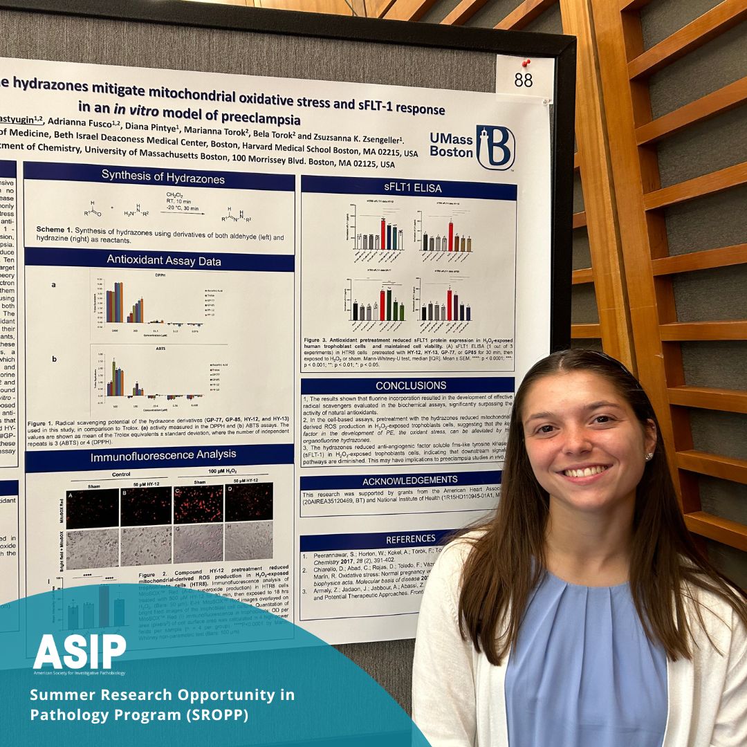American Society for Investigative Pathobiology tweet media