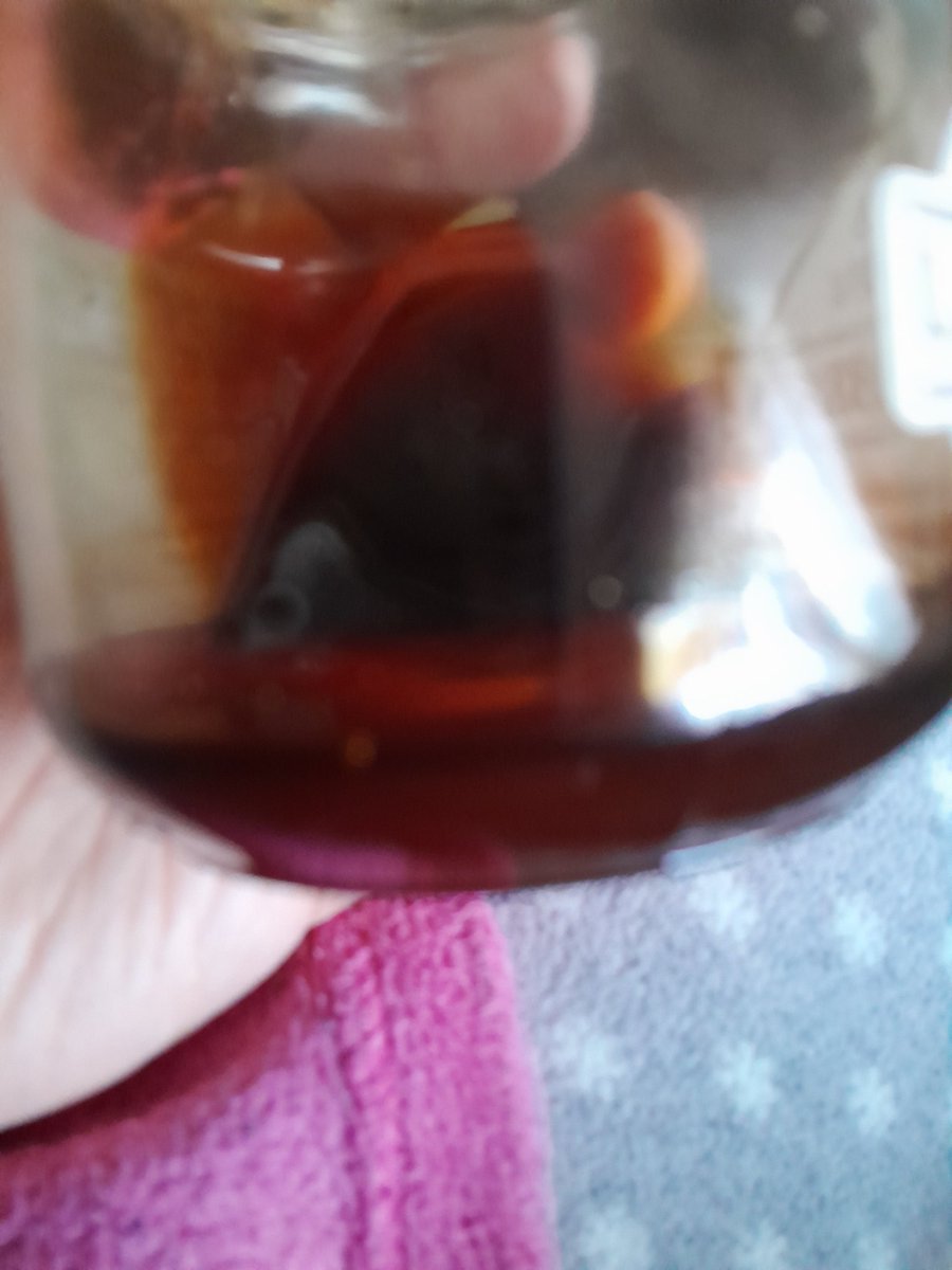 -¿Qué tal estás?
-He confundido el bote en el que tengo el orégano con el bote en el que tengo la miel buena y casi me tomo una dulce cucharada de orégano 😅