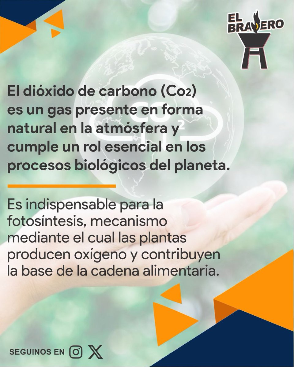 ElBraseroPy tweet media