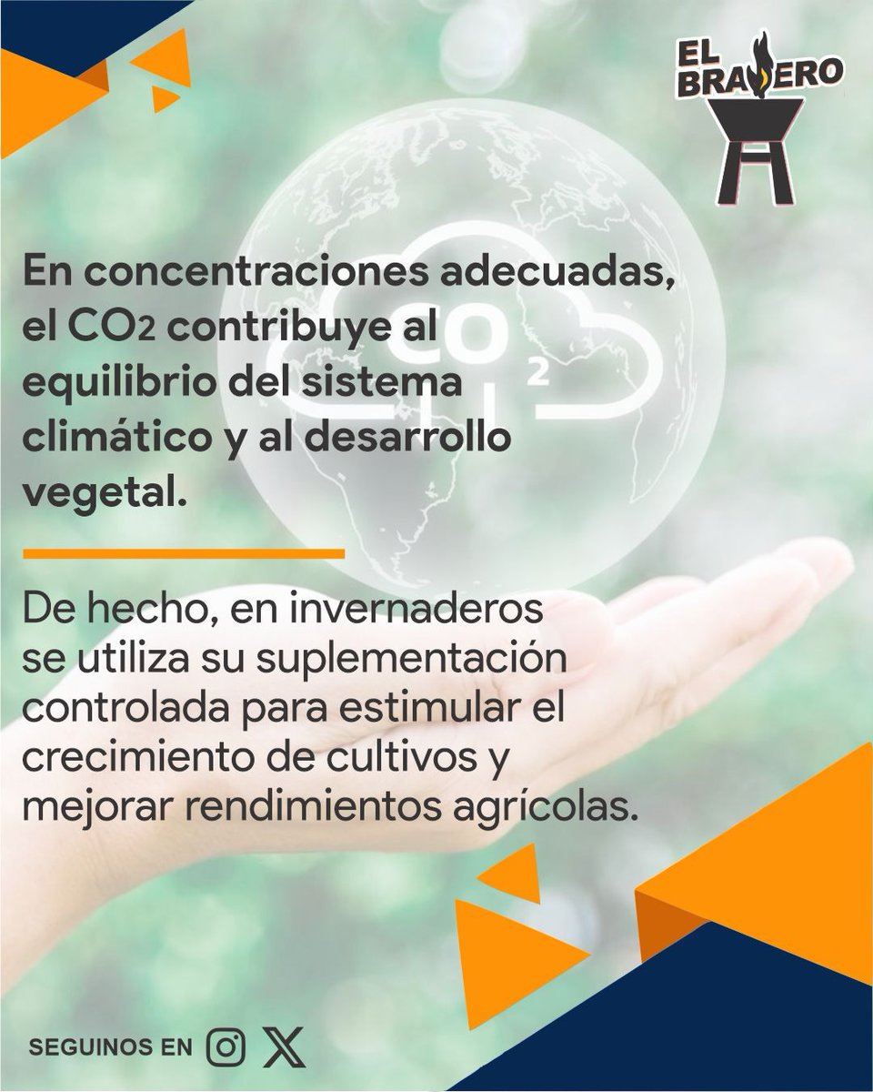 ElBraseroPy tweet media