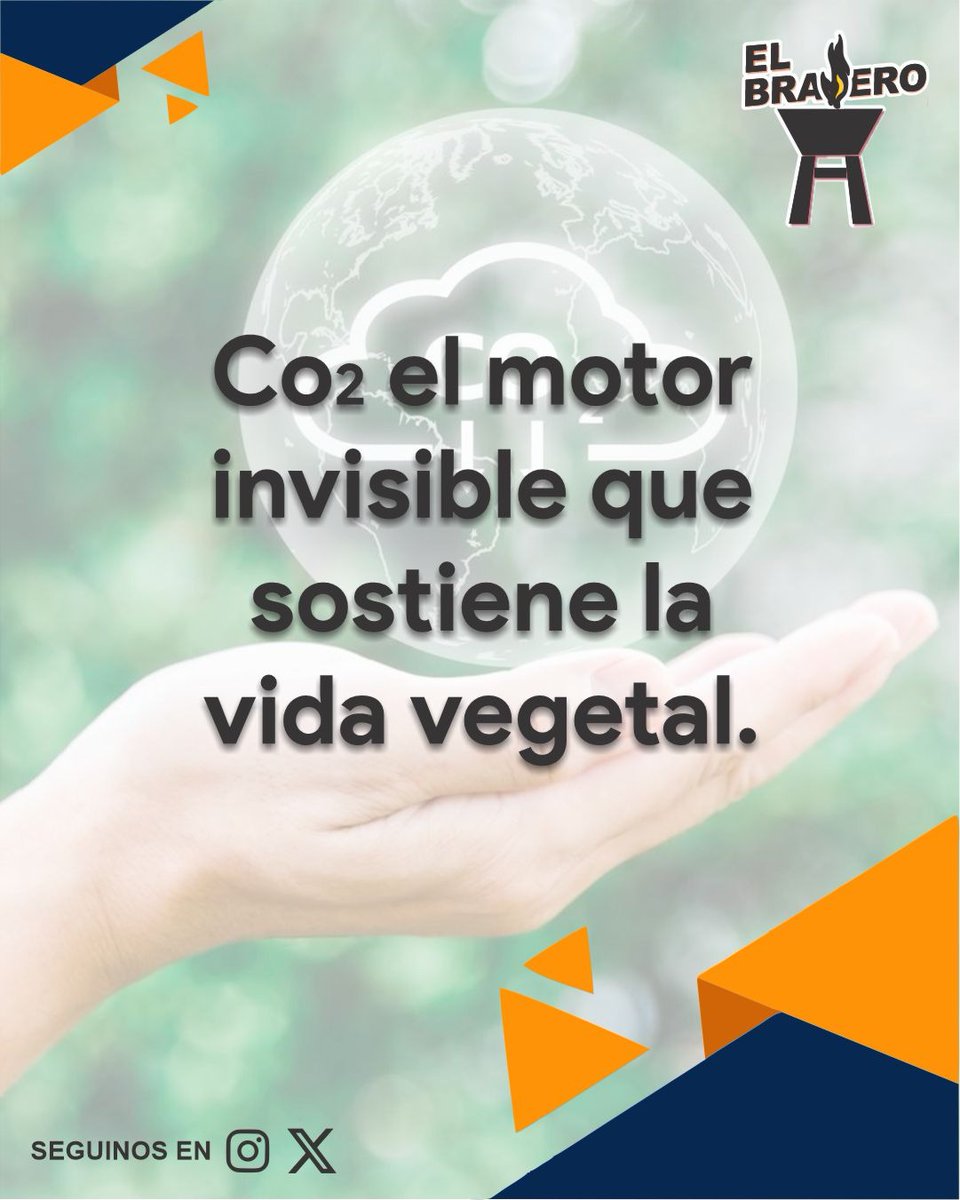 ElBraseroPy tweet media