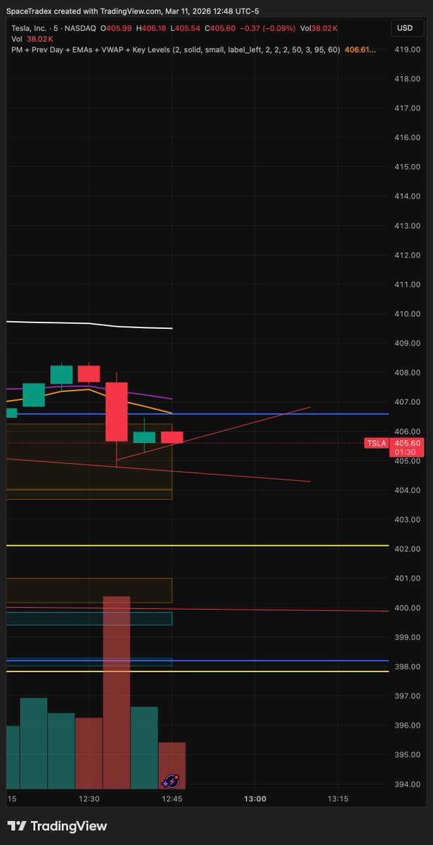 New York Doc tweet media