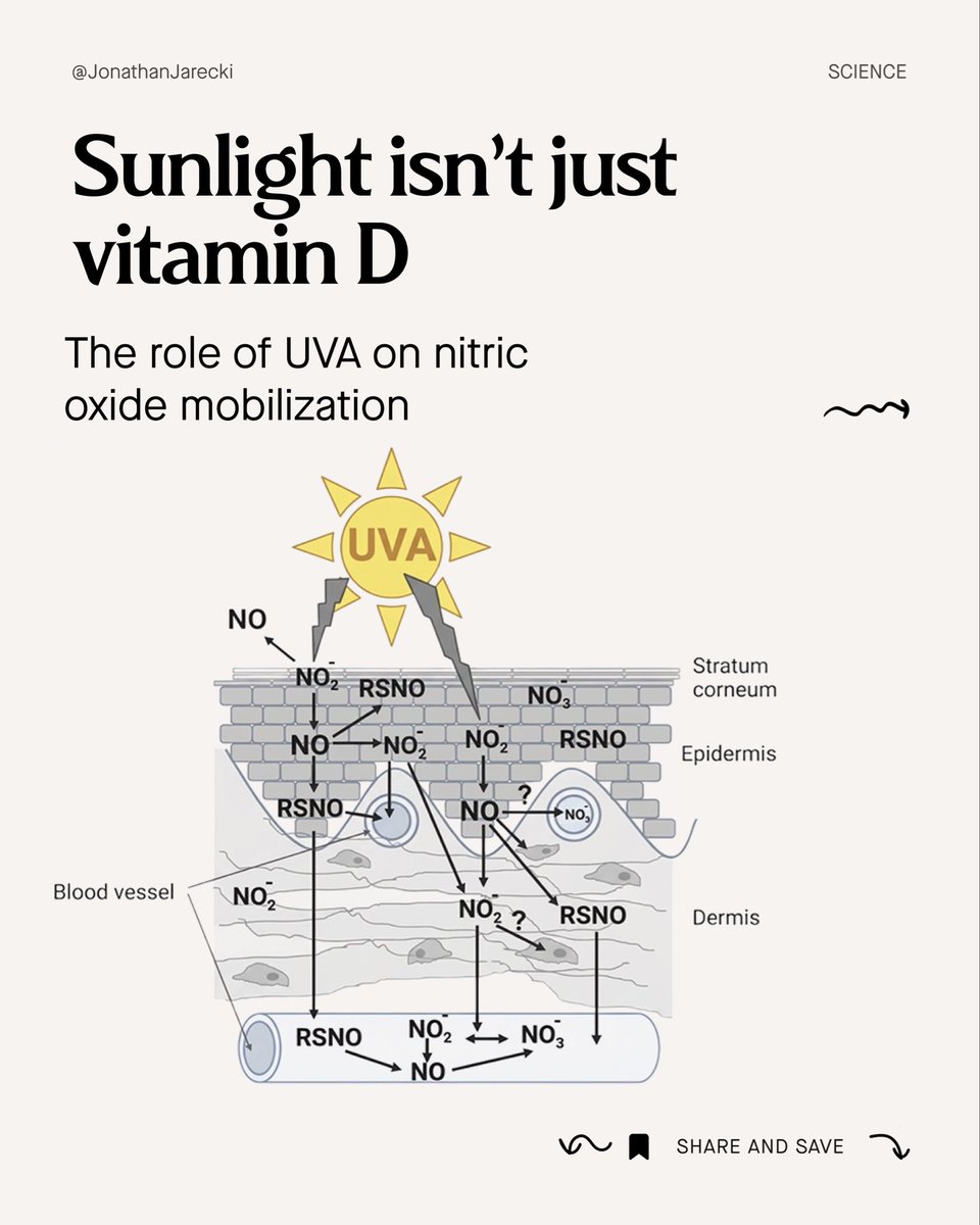 Jonathan Jarecki tweet media