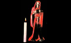 Armadillo tweet media