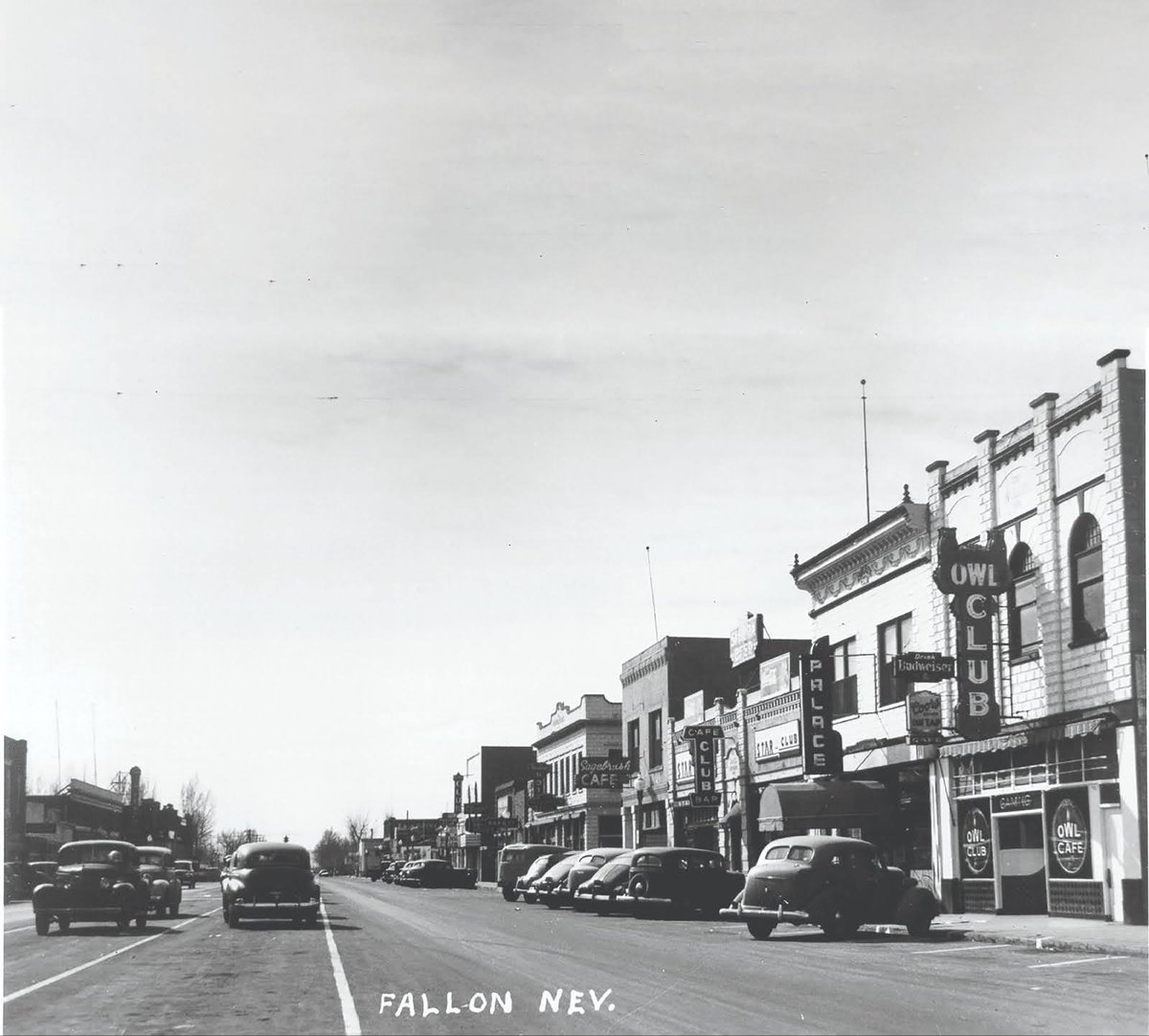 Visit Fallon tweet media