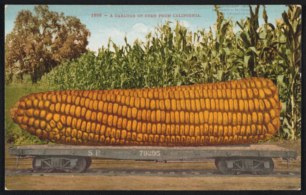 The Public Domain Review tweet media