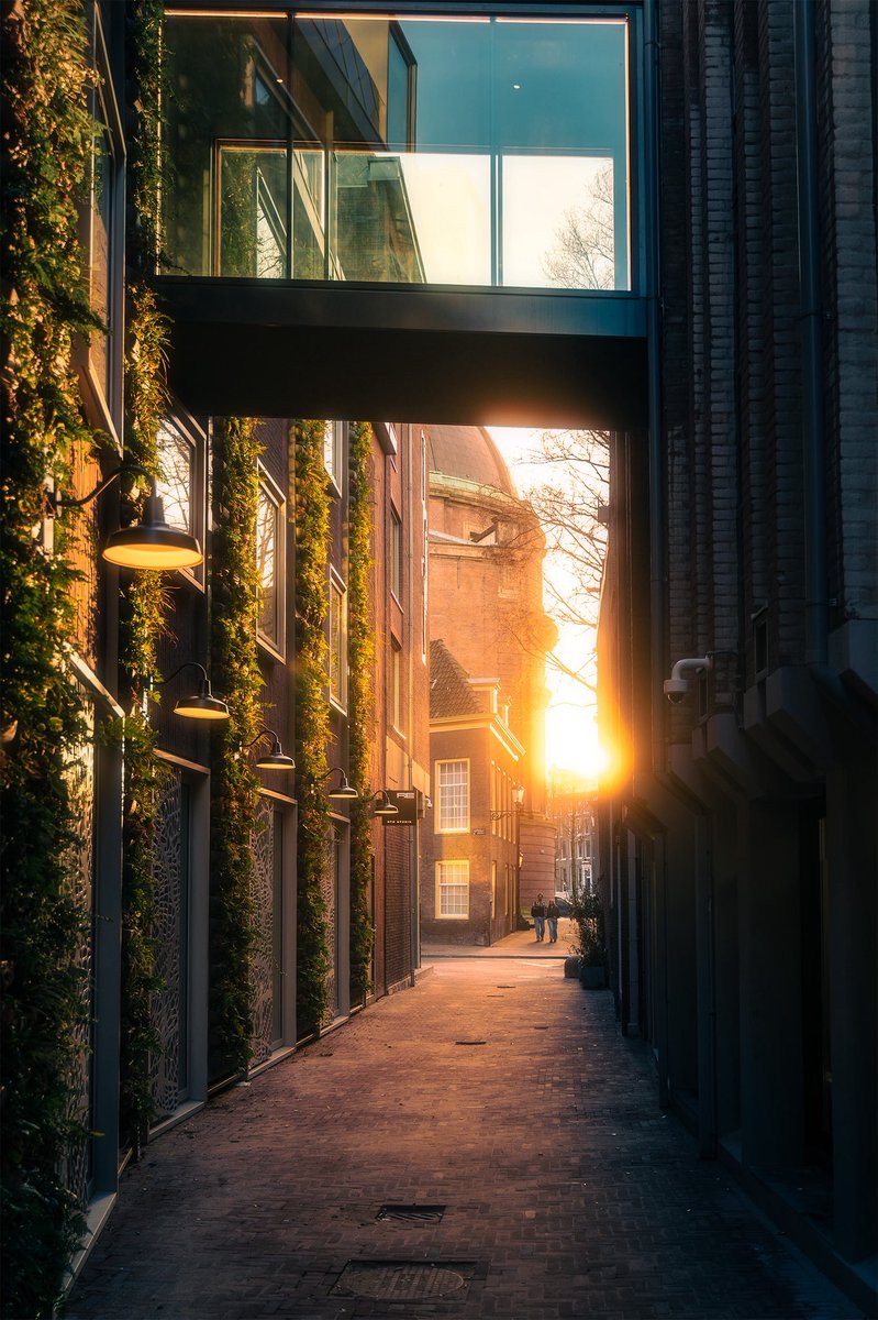 devundefined tweet media