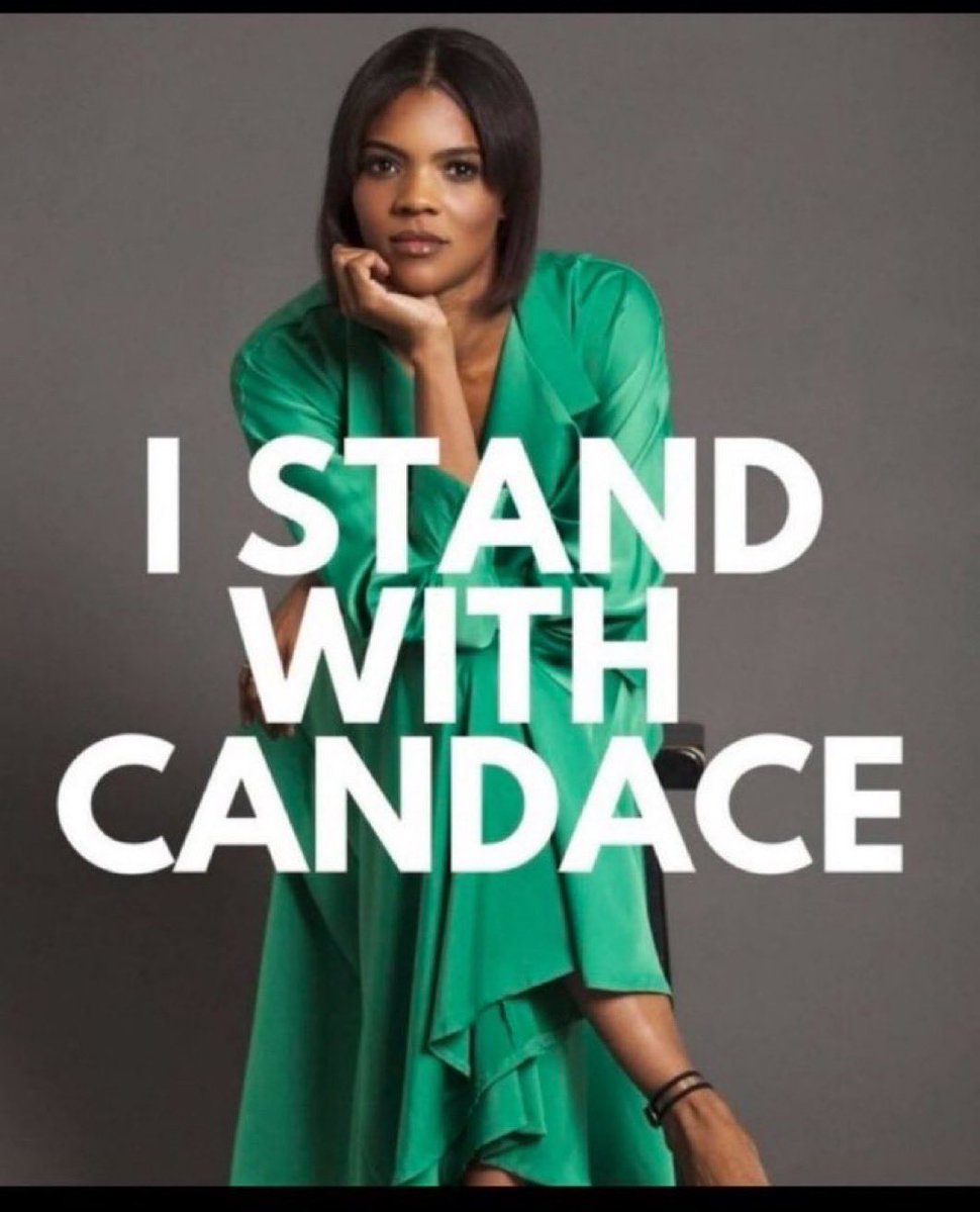 Cat | RisenForTruth tweet media