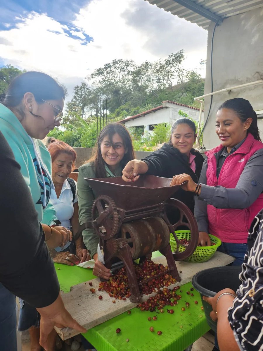 TechnoServe tweet media