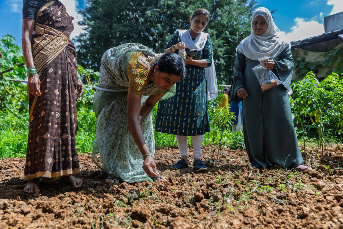 TechnoServe tweet media