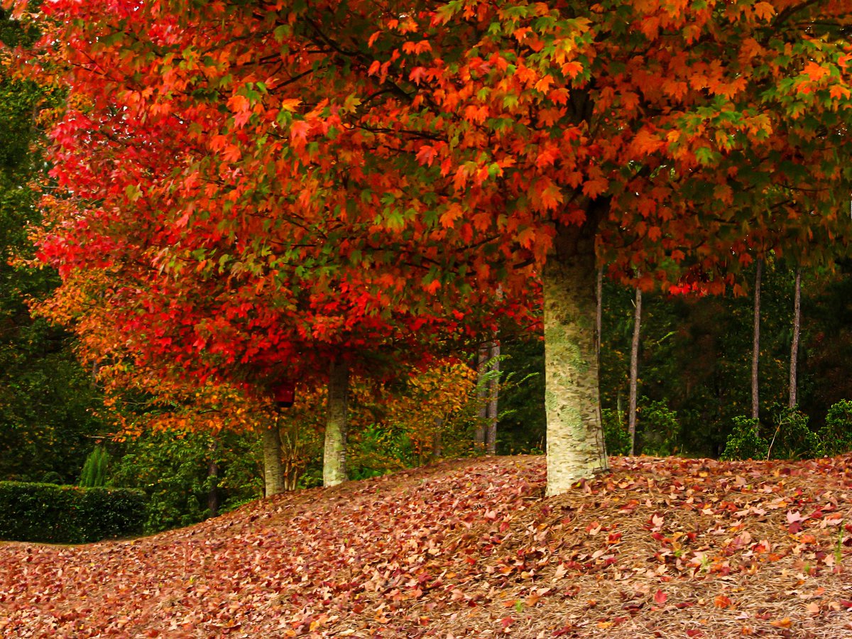 Photography Tricks and Tips tweet media