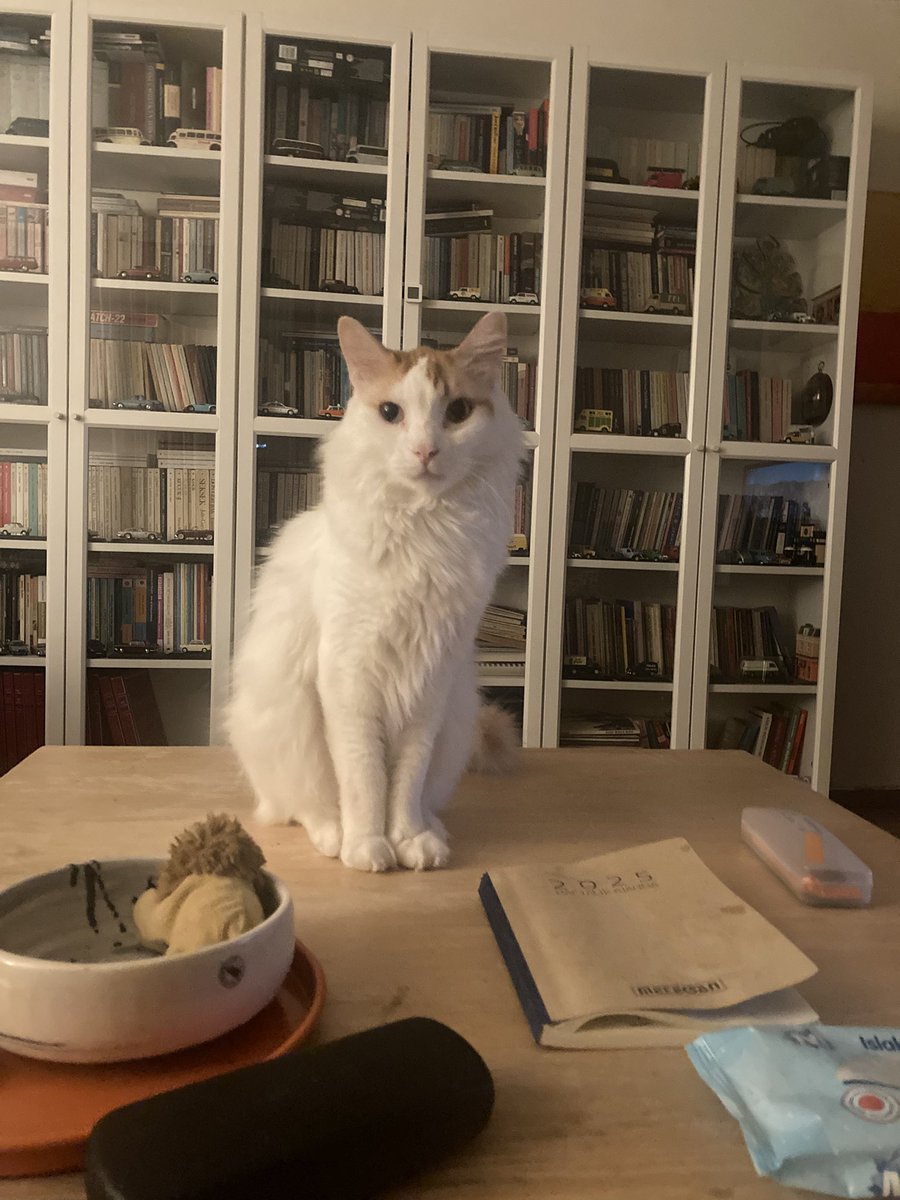 Hakan Toker tweet media