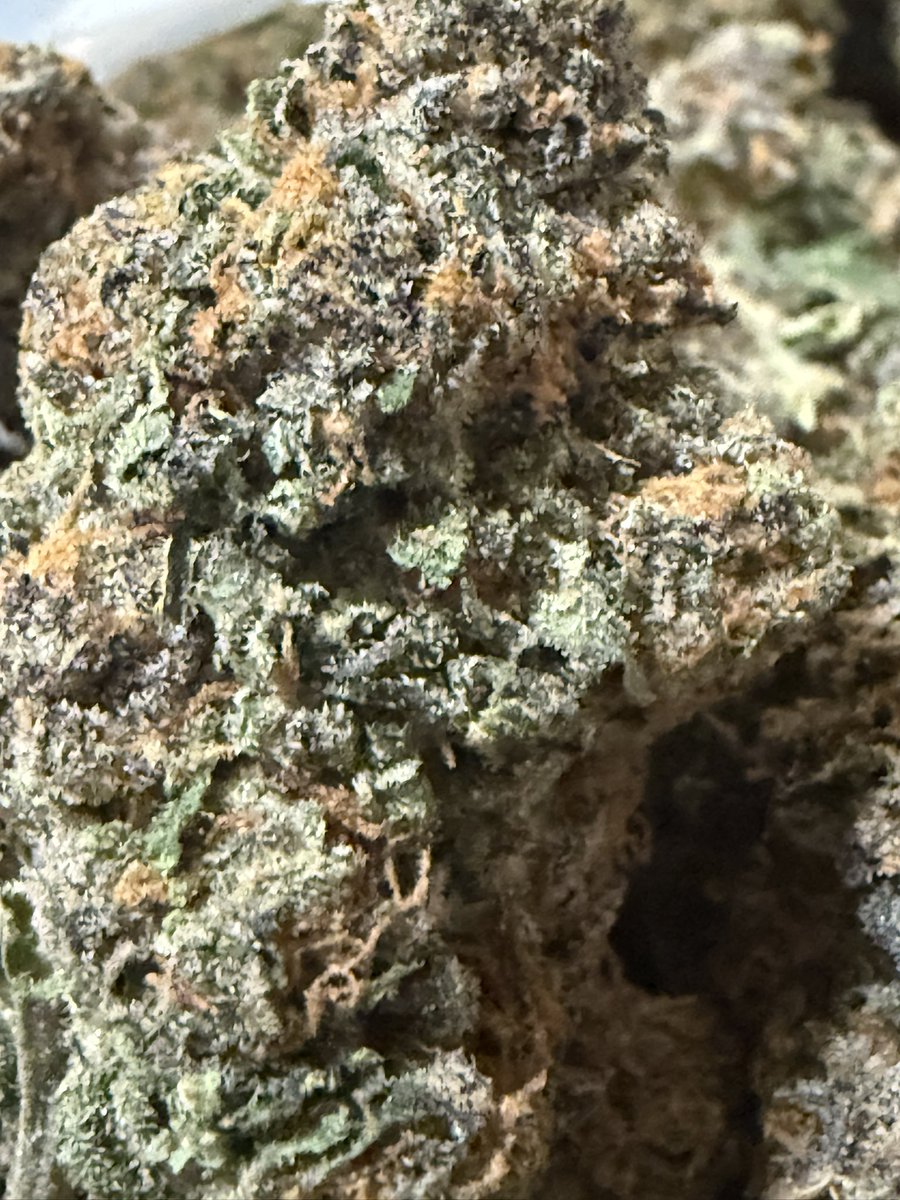 StealthSteppin's tweet photo. Maaan da nose on this G41 skunky 🦨💨

All orders going out wit FREE gummy‘s🔥

#DoorStepAction 📦 #DSA 🔌 DM 🗣️ https://t.co/NAwfPBACVn