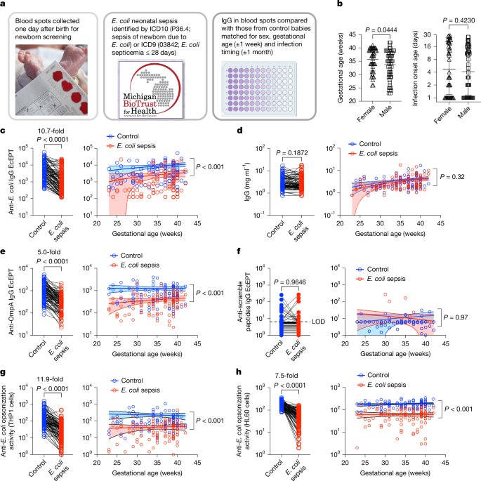 LabWaggoner's tweet photo. Natural maternal immunity protects neonates from Escherichia coli sepsis @CincyImmunology 
@CincyResearch @babiesresearch @Nature 
https://t.co/JofjhQJhEA https://t.co/UvnHrxt35O