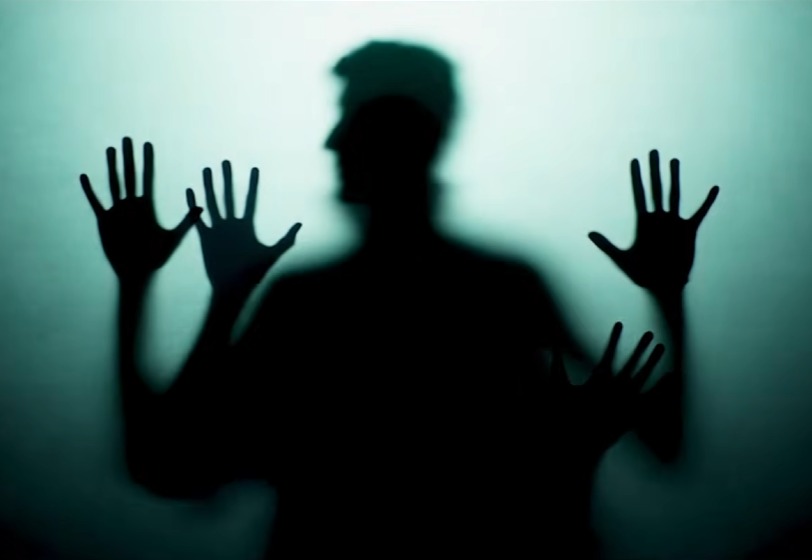 Not a Fox tweet media