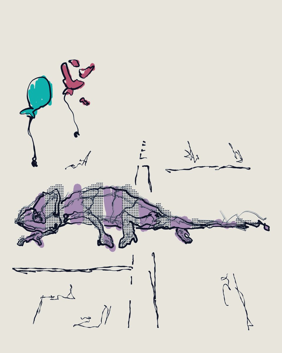 亀