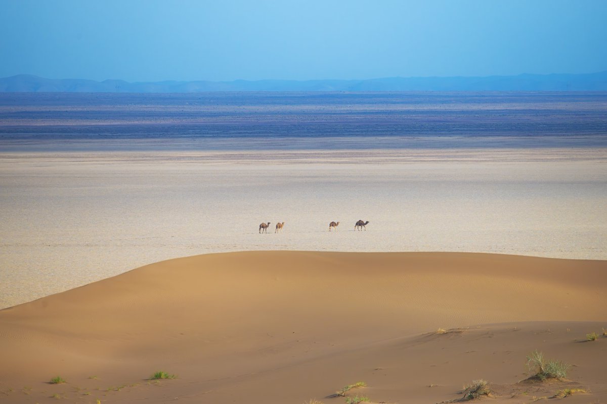 Erfan 📸🎞️🎥 🕊️ tweet media