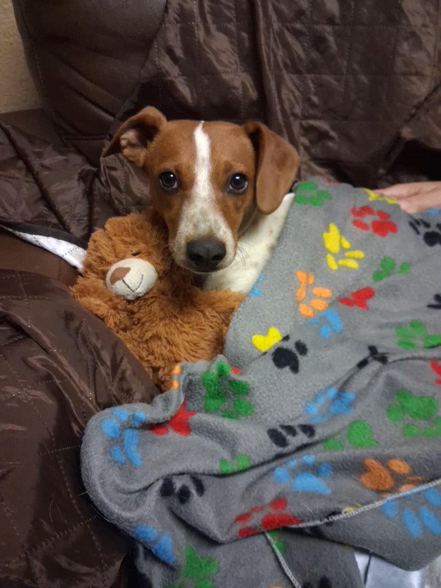 BatQueen🦇🧛🏻‍♀️💫 tweet media