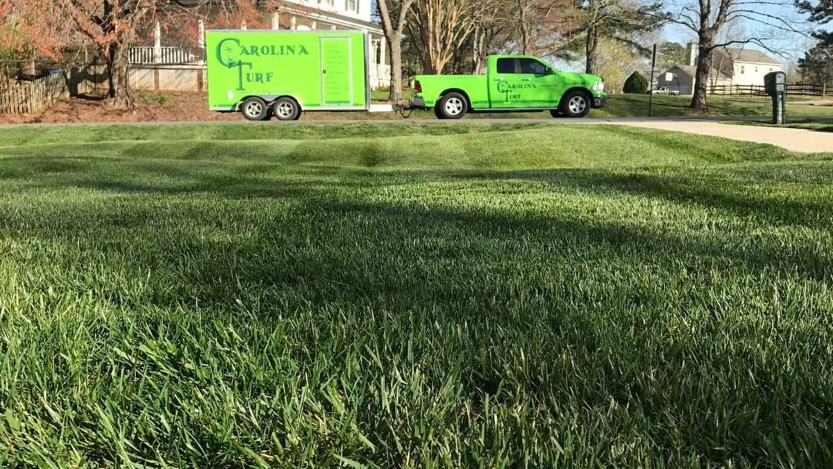 Carolina Turf Lawn and Landscape tweet media