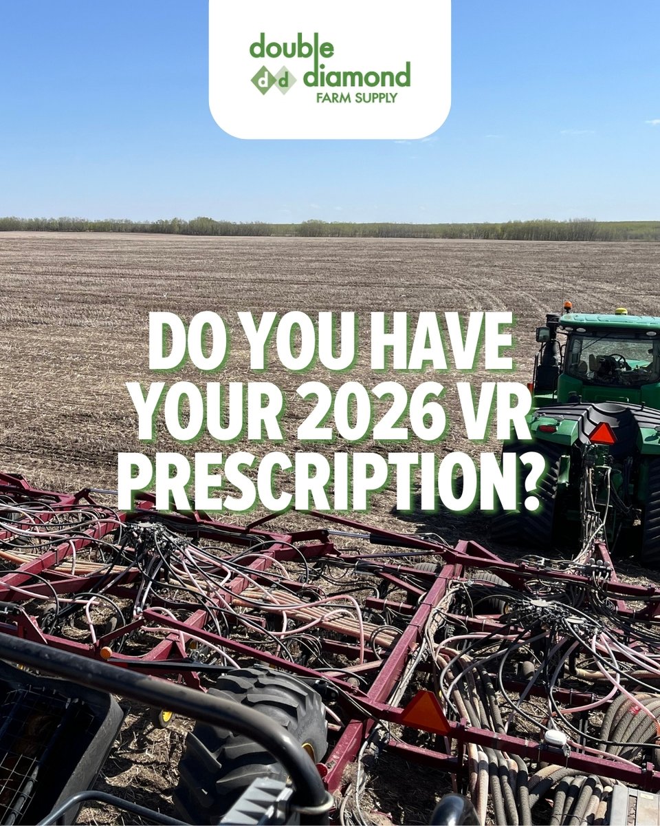 Double Diamond tweet media