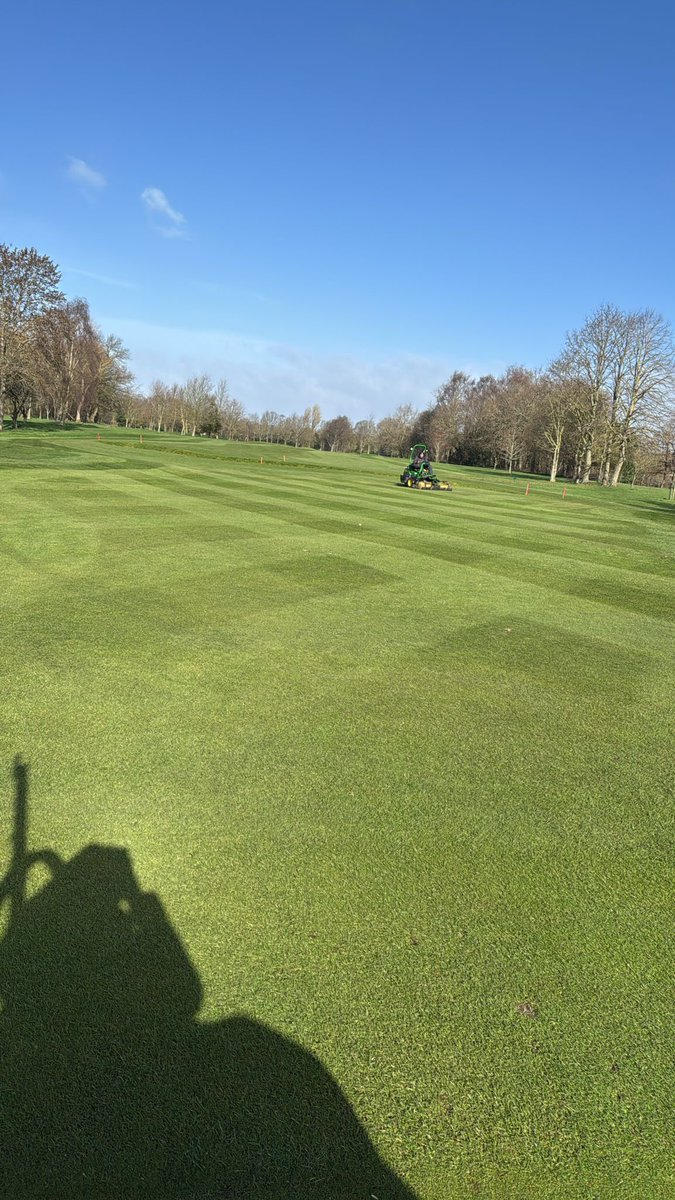 Andrew Birchall tweet media