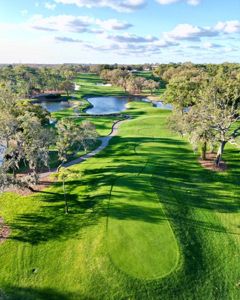 Innisbrook Resort tweet media