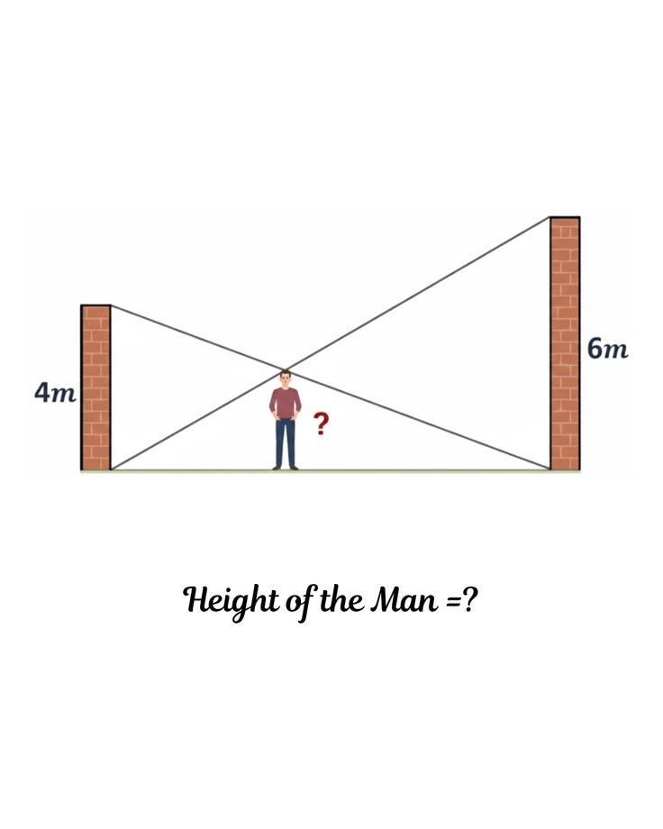 Math Hub tweet media