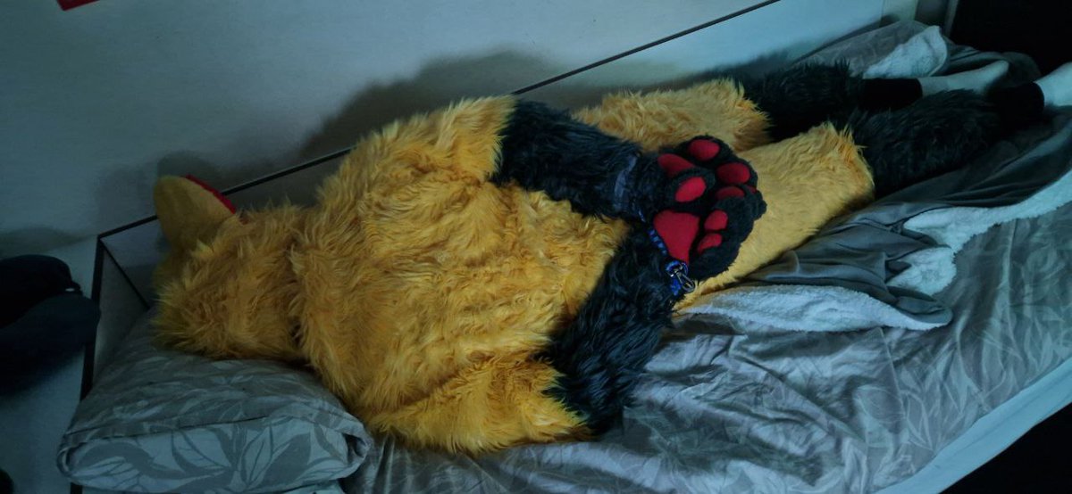 Pup Bonkers tweet media