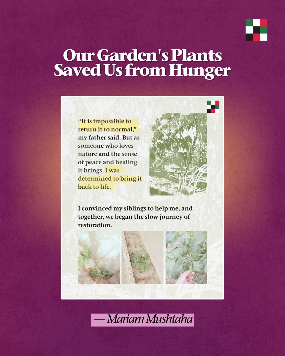 Institute for Palestine Studies tweet media