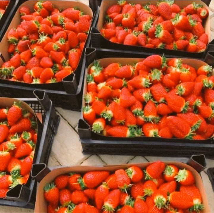 U&I SMART AGRI LTD tweet media