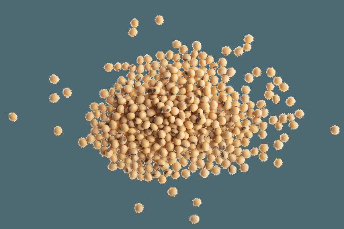 Peterson tweet media