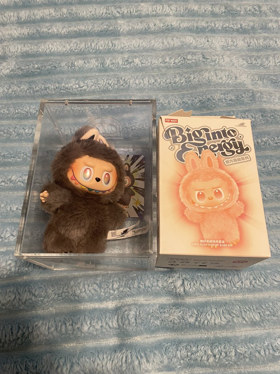 Schief05 tweet media