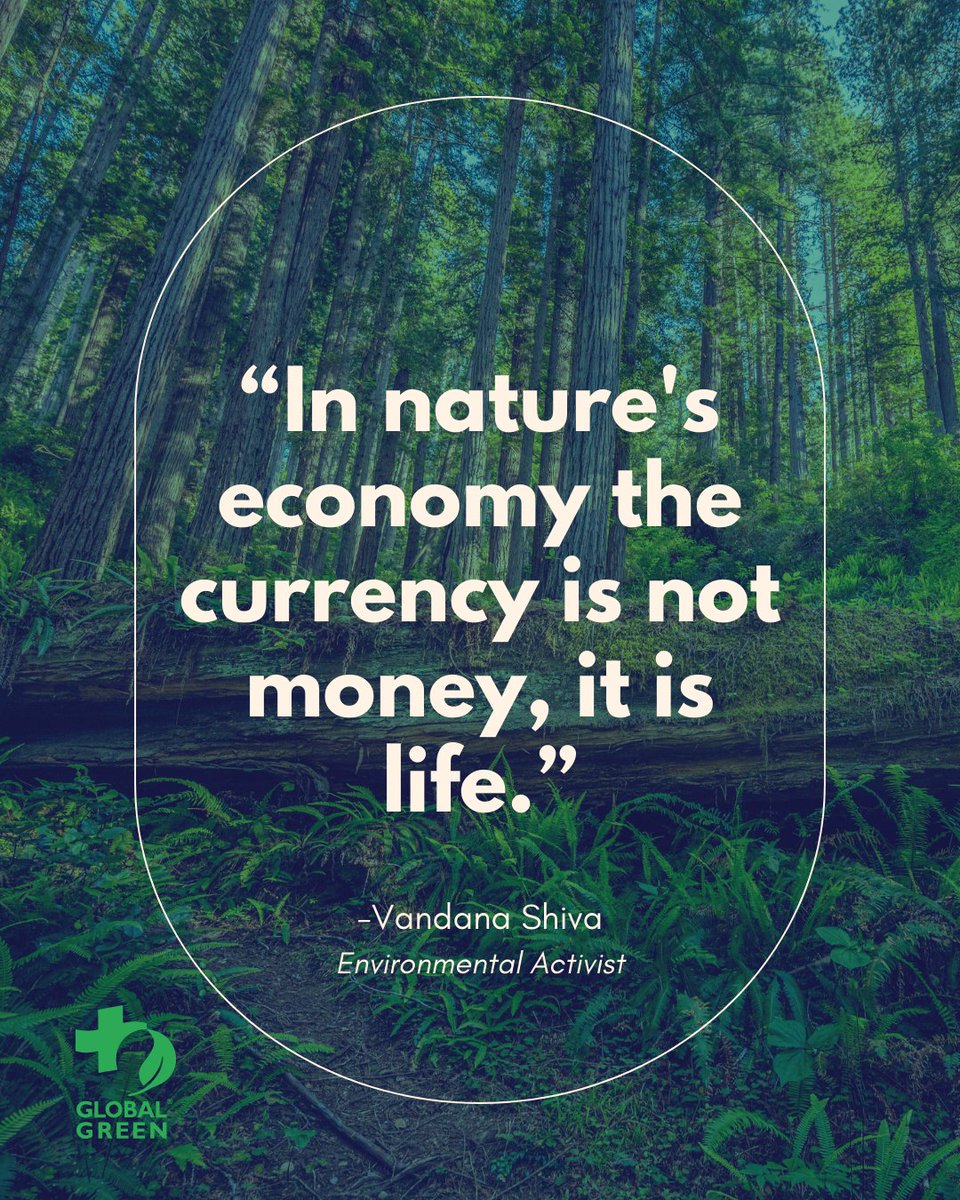globalgreen's tweet photo. It’s time to stop auditing our planet for profit and start investing in the restoration of its vital life force. 

#ClimateQuotes #Biodiversity #Sustainability https://t.co/FHrAbFUeo9