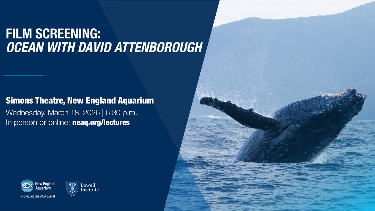 New England Aquarium tweet media