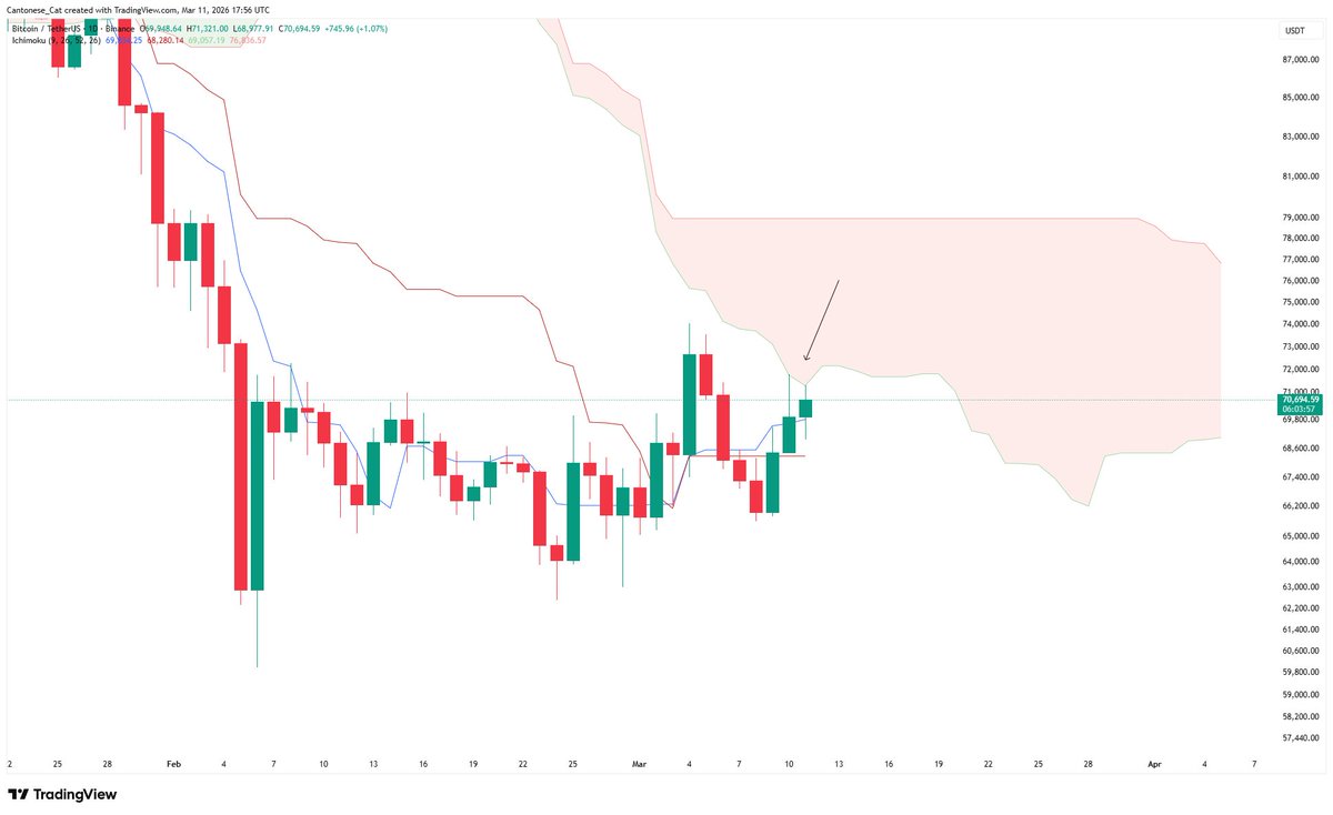 Cantonese Cat 🐱🐈 tweet media