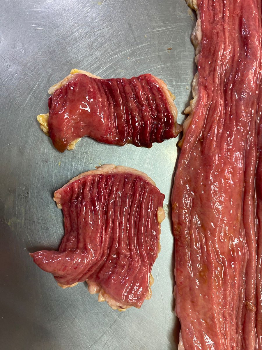 Marcos Saint Martin tweet media