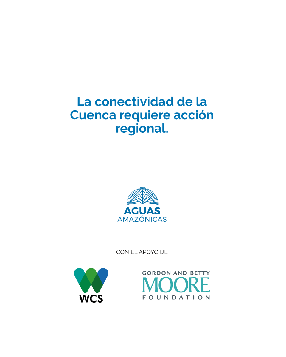 Aguas Amazónicas tweet media