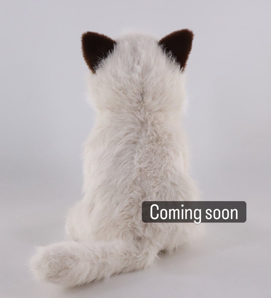 Bunsen, Beaker, Bernoulli & Brix tweet media