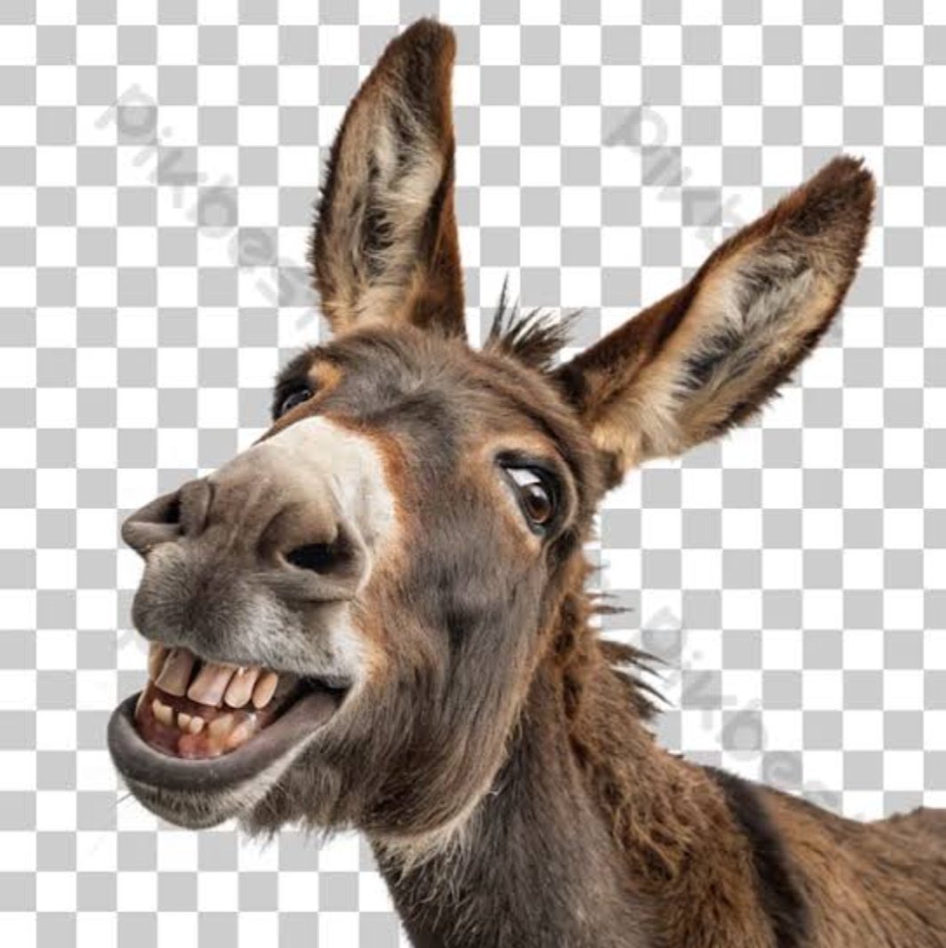 Kavita Meena tweet media