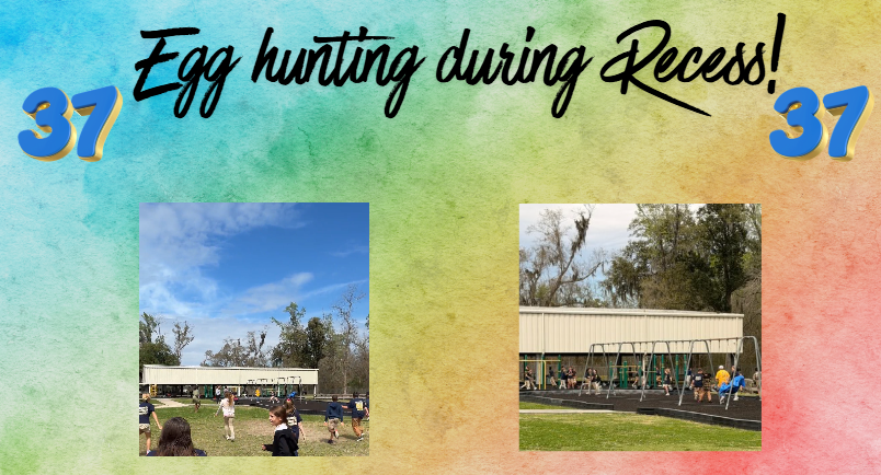 7 Mindsets tweet media