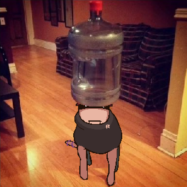 || francis.gif 🇮🇪 || €OMMS PAUSED || tweet media